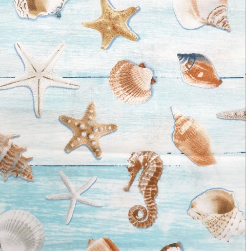 Seashells-aqua